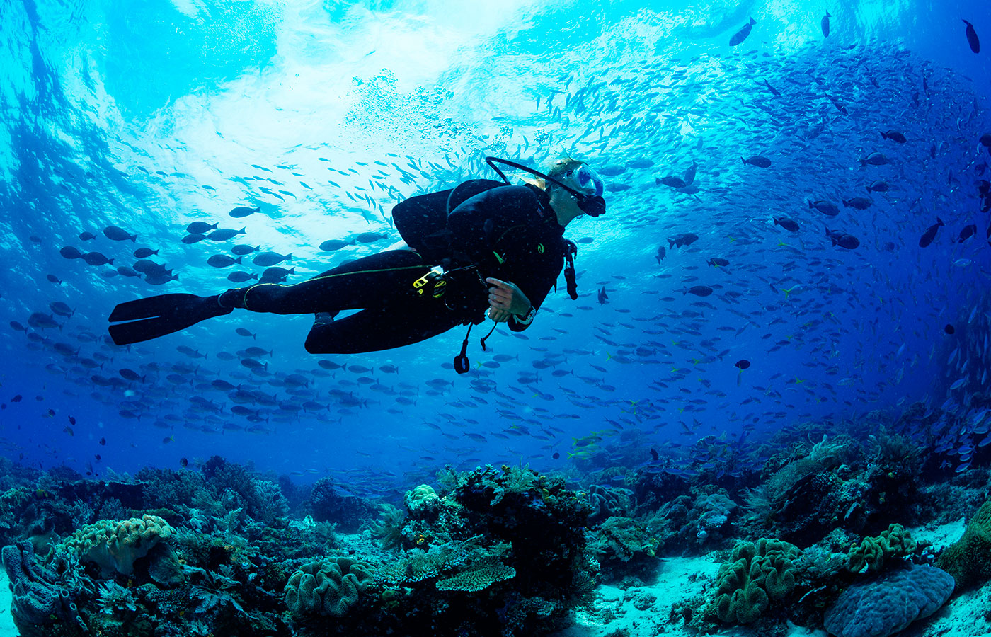 Boca Chica Scuba Diving - Image 2