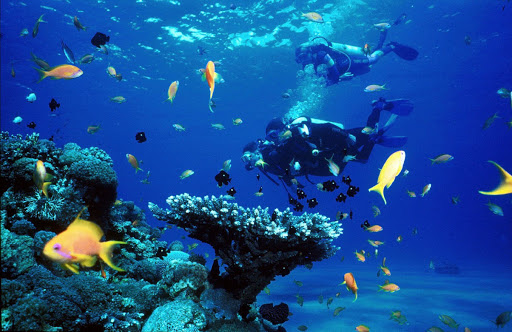 Boca Chica Scuba Diving