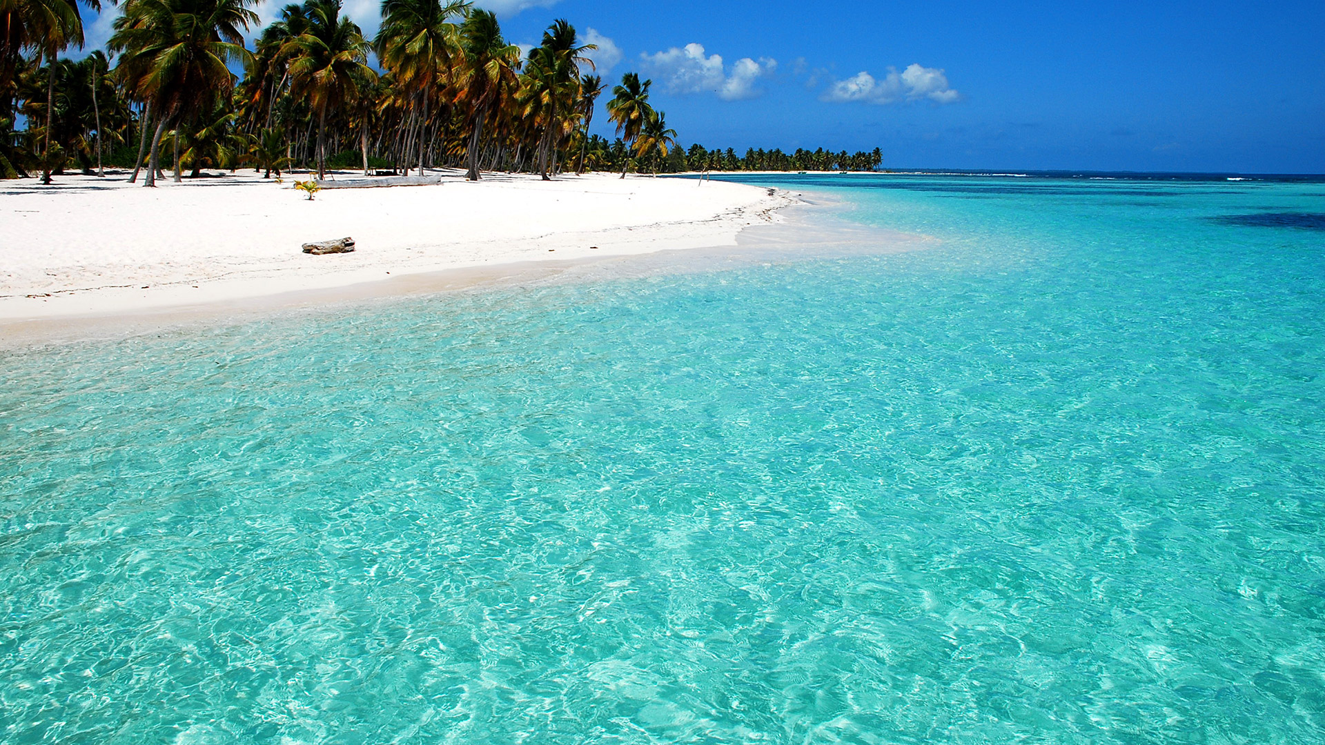 Saona Island Private Boat - Image 2